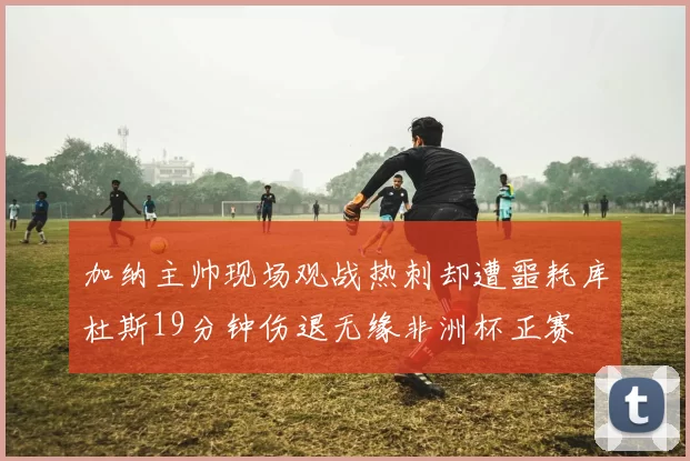 加纳主帅现场观战热刺却遭噩耗库杜斯19分钟伤退无缘非洲杯正赛