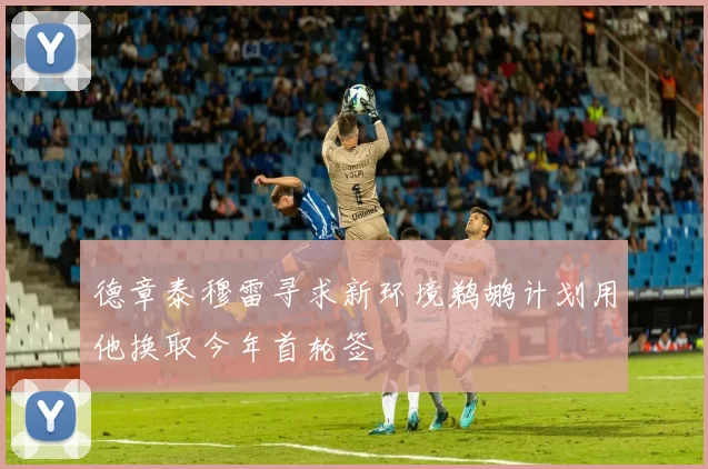 德章泰穆雷寻求新环境鹈鹕计划用他换取今年首轮签
